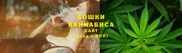 соль ск Богданович