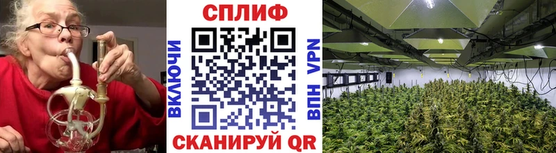 Шишки марихуана планчик Тихорецк
